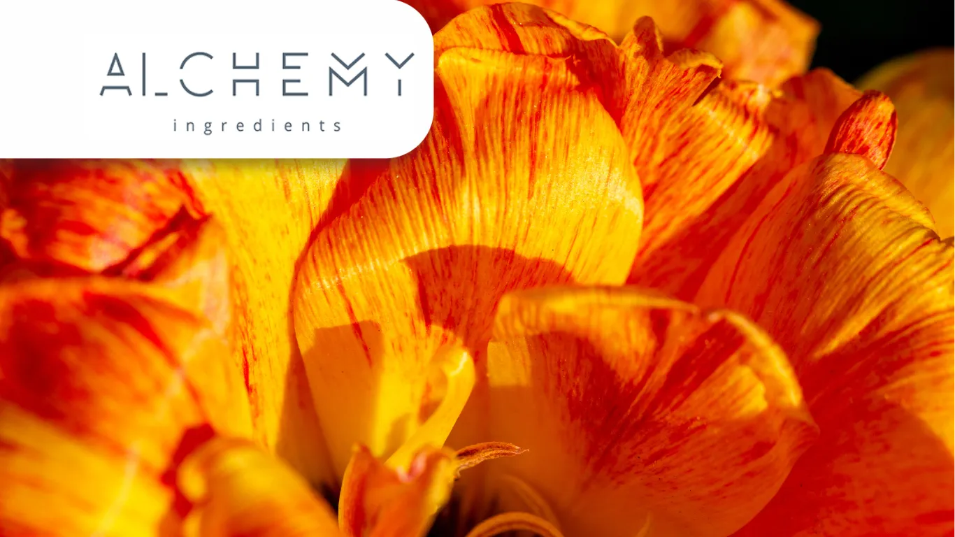 Alchemy Ingredients