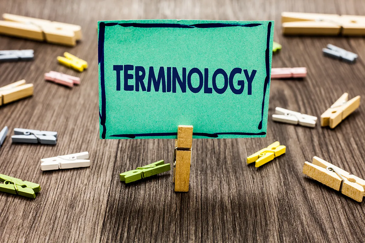 Ultimate Dynamics 365 Terminology Cheat Sheet